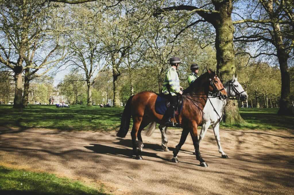 Mounted policemen in a park